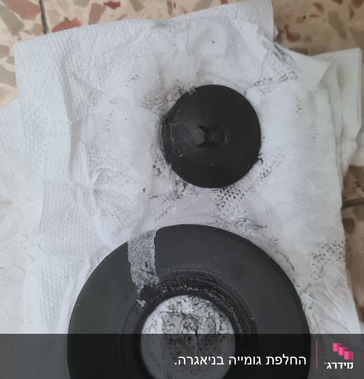 שני אטמים שחורים על מגבת נייר לבנה